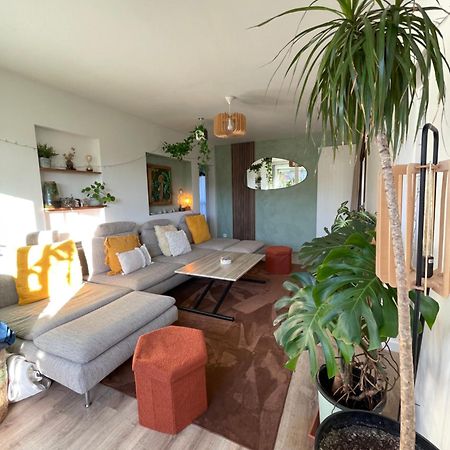 Appartement T3 - Foret & Plage Anglet Exteriér fotografie