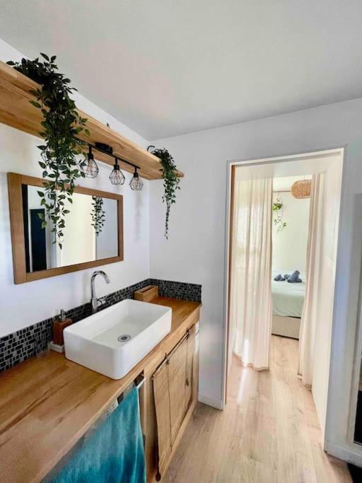 Appartement T3 - Foret & Plage Anglet Exteriér fotografie